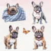Koffiemok Franse Bulldog 14