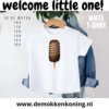 Kinder t-shirts met ijsjesafbeeldingen 02