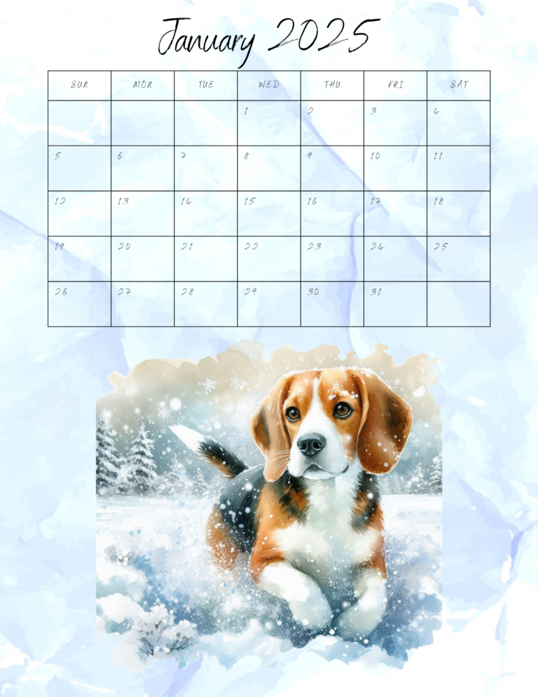 2 Kalender 2025 winter 1